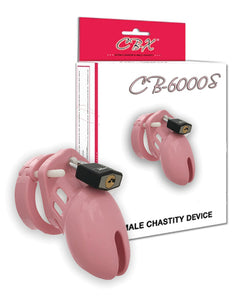 "Cb-6000 2 1/2"" Cock Cage & Lock Set"