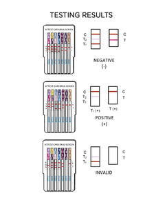 Versea EasyLab 6-Panel Drugs of Abuse Cup Test