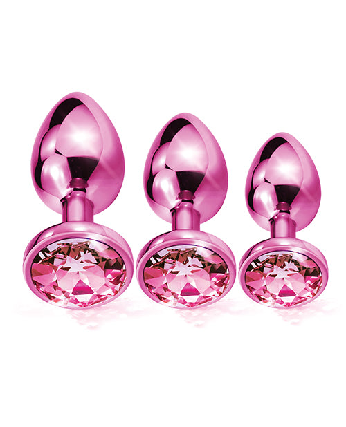 Nixie Metal Butt Plug Trainer Set W/inlaid Jewel