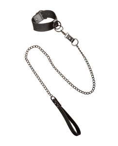 Euphoria Collection Collar W/chain Leash