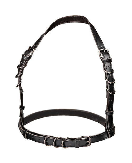 Euphoria Collection Halter Buckle Harness