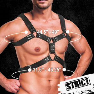 6 O-ring Chest Harness