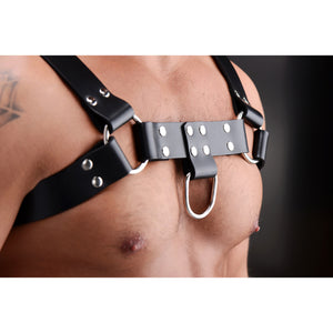 English Bull Dog Harness