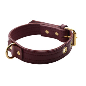 Strict Leather Luxury Locking Collar