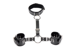 Neck To Wrist Restraints