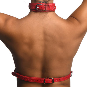 Red Female Chest Harness